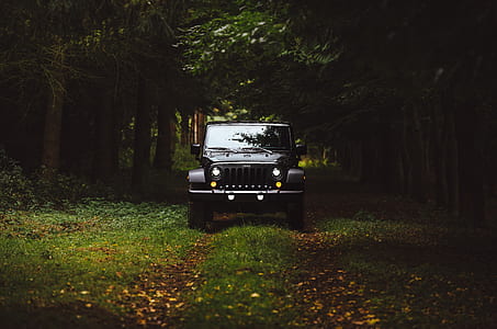 black Jeep Wrangler Rubicon along pathway thumbnail