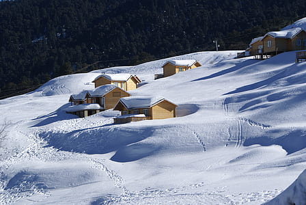 brown houses covered with snows thumbnail