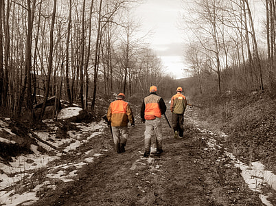 orange and green jacket thumbnail