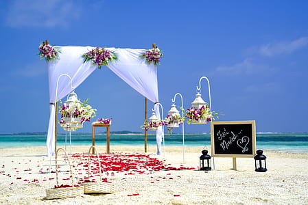 sea, sky, beach, sand thumbnail