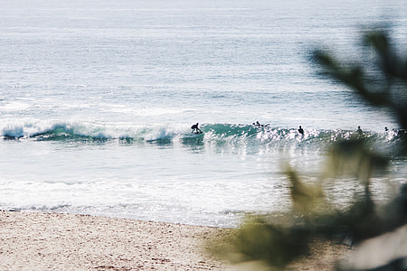 photo of people surfing on barrel waves thumbnail