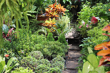 shallow photography of garden thumbnail
