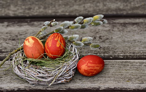 three eggs in the nest thumbnail
