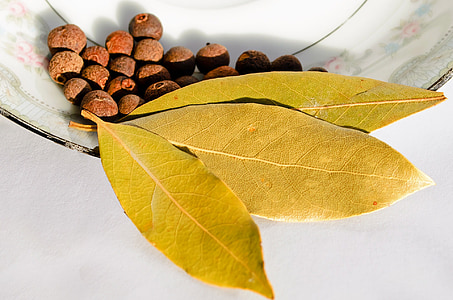 brown dry leaves and nuts thumbnail