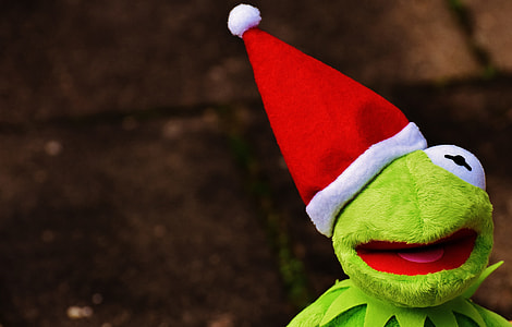 Kermit the frog with santa hat thumbnail