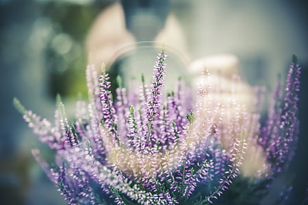 purple flower arrangement thumbnail