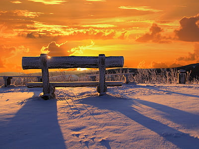 shallow focus photography of brown wooden bench during sunset thumbnail