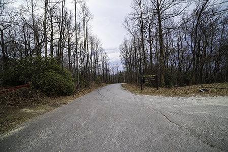 The Road up to the summit of Sassafras Mountain in South Carolina thumbnail