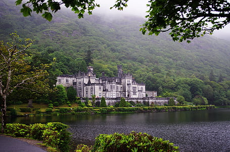 building surrounded by trees thumbnail