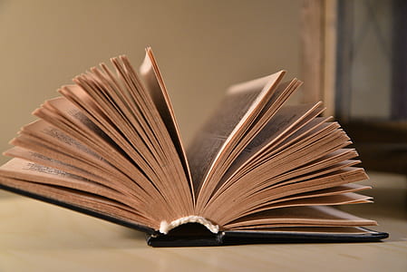 open book thumbnail