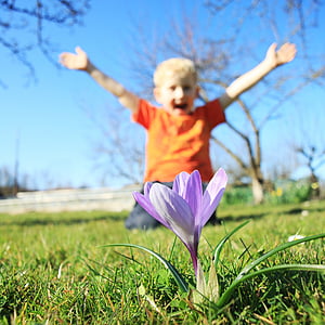 selective focus photography of blue crocus flower surrounded by green grass at daytime thumbnail