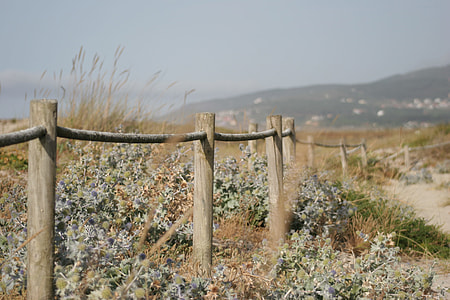 gray wooden fence beside green grass thumbnail