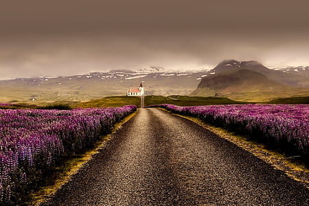 iceland, snow, road, dawn thumbnail