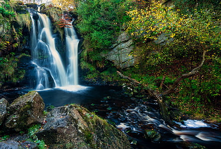 water falls beside on tree under sky thumbnail