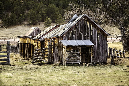 photo of brown wooden house near tree thumbnail