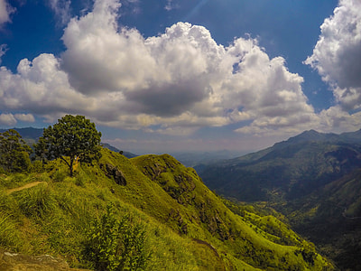 aerial photography of green valley during daytime thumbnail