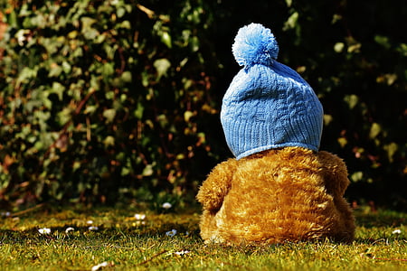 brown teddy bear wearing blue bobble hat on green grass thumbnail
