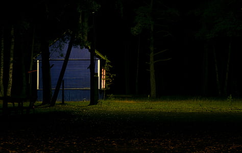 blue paint house surrounded trees thumbnail