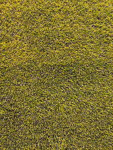 green grass thumbnail