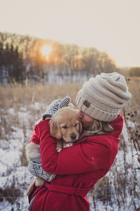 woman hugging a light golden retriever puppy standing near tall trees at daytime thumbnail