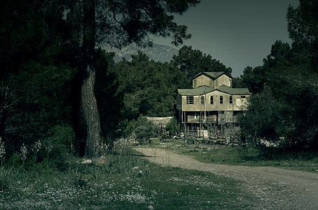 photo of wooden house surrounded with trees thumbnail