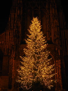orange lightened Christmas tree thumbnail
