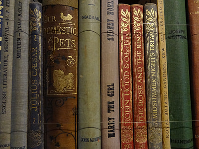 closed up photo of novel books thumbnail