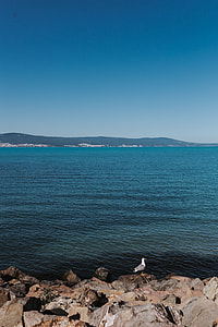Coast of the Black Sea, Sunny Beach, Bulgaria thumbnail