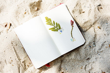 white, green, and red paper thumbnail