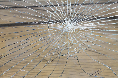 close up photography of web at daytime thumbnail