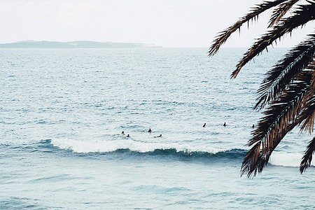 group of people swimming on beach thumbnail