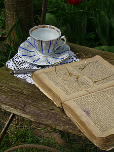 white and blue teacup and saucer with book beside it thumbnail