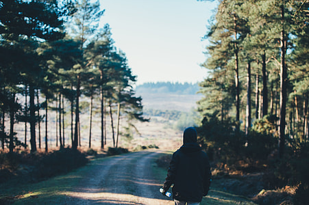 person wearing black jacket walking on pathway in between trees thumbnail