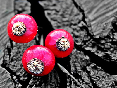 three red berries thumbnail