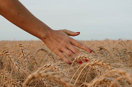 person laying hands thumbnail