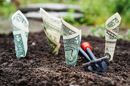 four 1 US dollar banknotes on soil thumbnail