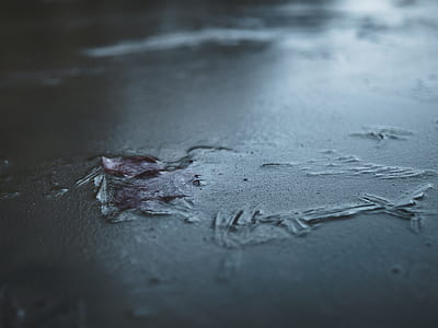 water, frozen, winter, gh5, leaf thumbnail