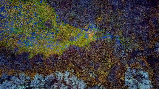 nature, landscape, aerial, underwater, sea, ocean thumbnail