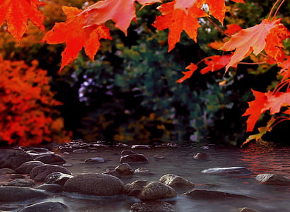 time lapse photography of river with stones thumbnail