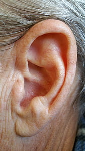 left human ear thumbnail