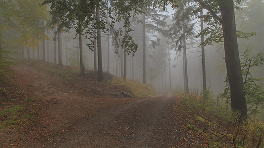 The Fog, Krkonoše Giant Mountains thumbnail