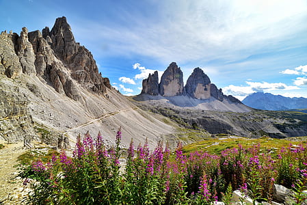 rock formation surrounded with plants thumbnail