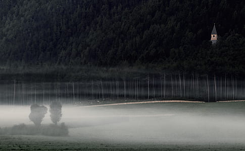 gray building and trees surrounded with mist thumbnail