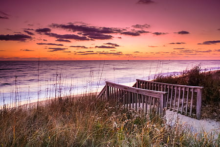 seashore during golden hour thumbnail