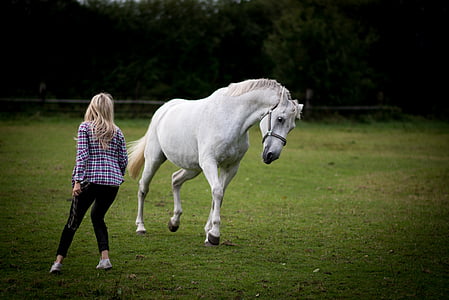 woman standing near white horse on green grass field thumbnail