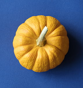 pumpkin decoration thumbnail