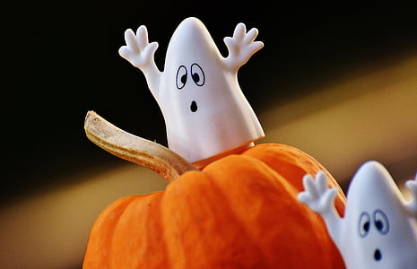 two ghost on pumpkin illustration thumbnail