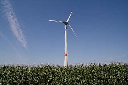 white windmill under blue sky thumbnail