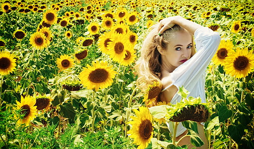 woman holding her hair in sunflower field during daytime thumbnail