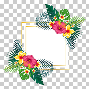 Floral design Watercolor painting Flower, Hand painted watercolor summer floral background, yellow and red flowers painting PNG clipart